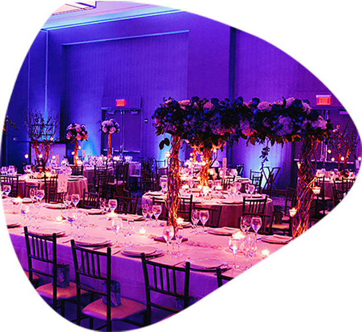 Finalization of Details